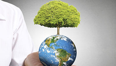MBA - Environmental Management