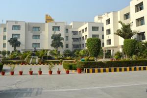 research and ranking noida