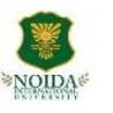 School of Business Management, Noida International University