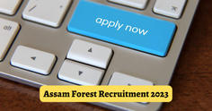 Assam Forest Recruitment 2023: Apply for 2649 posts at slprbassam.in