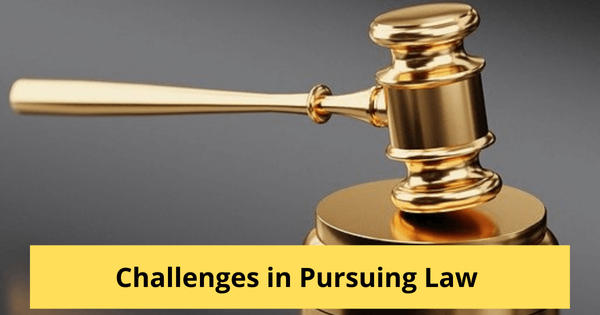 essay on pursuing law