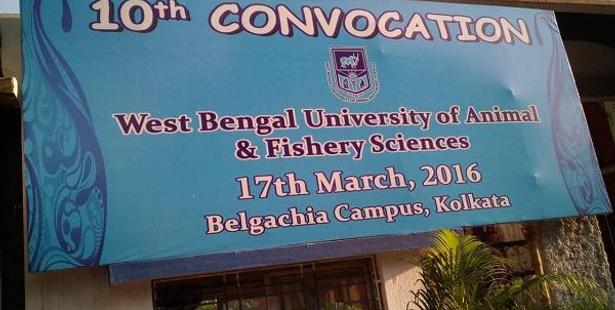 10th Convocation of West Bengal University of Animal and Fishery Sciences  concluded conferring degrees to 97 students | CollegeDekho