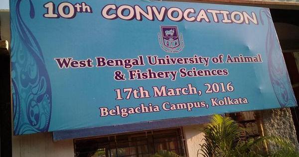 10th Convocation of West Bengal University of Animal and Fishery Sciences  concluded conferring degrees to 97 students | CollegeDekho