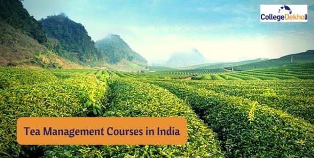 Tea Management Courses, Colleges and Career Scope