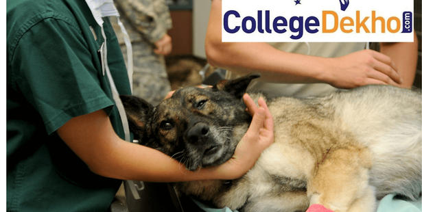 Top Veterinary Sciences Colleges in India- Courses Offered, Eligibility,  Fees | CollegeDekho