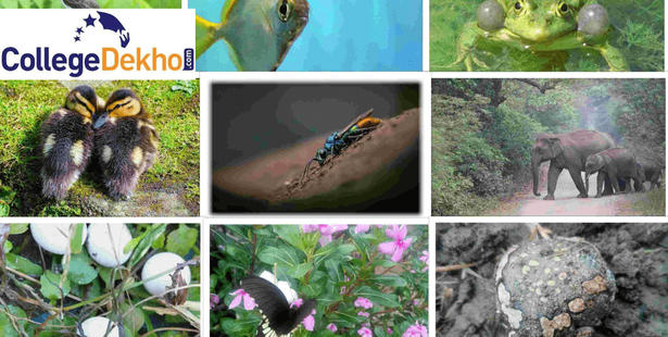 CUET PG 2022 Zoology Syllabus: Check Topics, Pattern, Download PDF