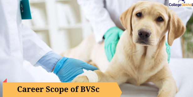 Career Scope of BVSc