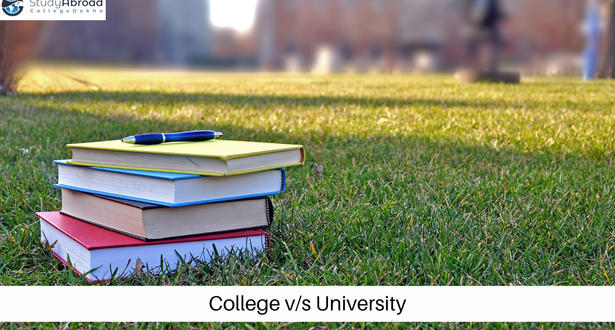 What is the Difference Between College and University?